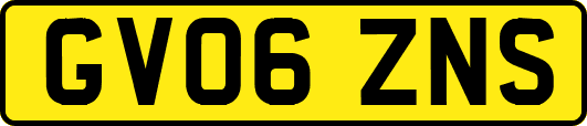 GV06ZNS