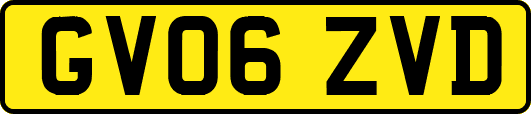 GV06ZVD