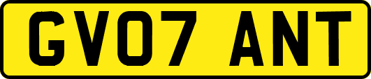 GV07ANT