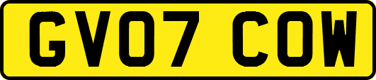 GV07COW