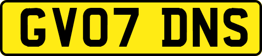 GV07DNS