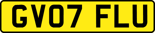 GV07FLU