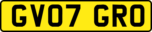 GV07GRO