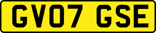 GV07GSE
