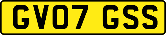 GV07GSS
