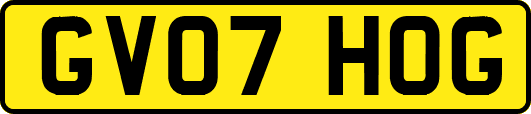 GV07HOG