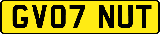 GV07NUT