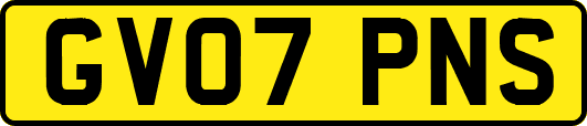 GV07PNS