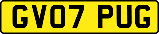 GV07PUG