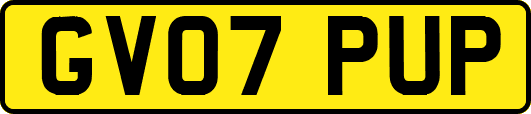 GV07PUP