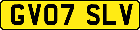 GV07SLV