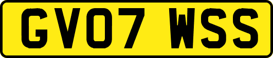 GV07WSS