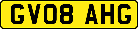 GV08AHG