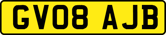 GV08AJB