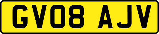 GV08AJV