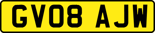 GV08AJW
