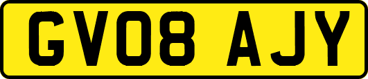 GV08AJY