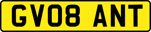 GV08ANT