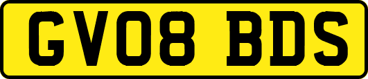 GV08BDS