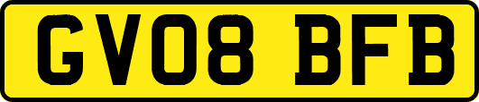 GV08BFB