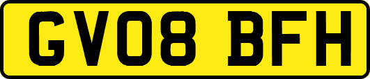 GV08BFH