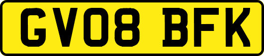 GV08BFK