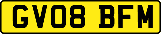 GV08BFM