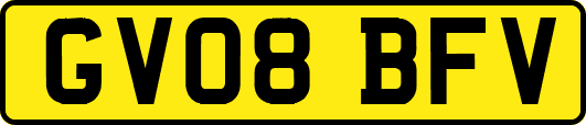 GV08BFV