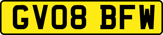 GV08BFW