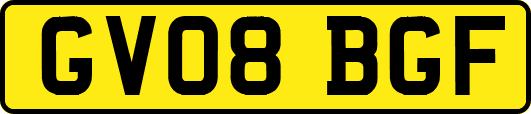 GV08BGF