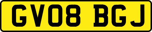 GV08BGJ