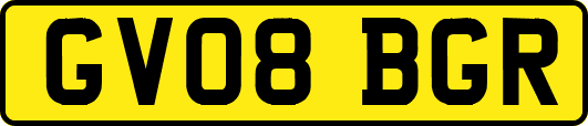 GV08BGR