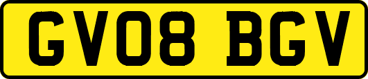 GV08BGV