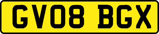 GV08BGX
