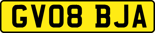 GV08BJA