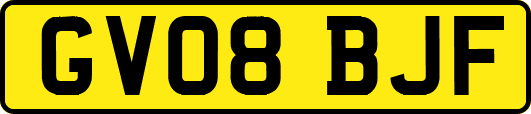 GV08BJF