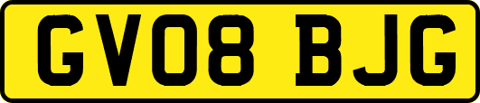 GV08BJG