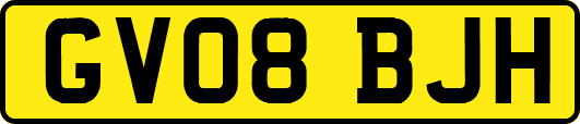 GV08BJH