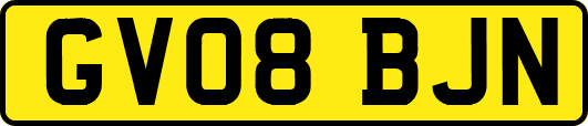 GV08BJN