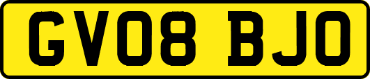 GV08BJO