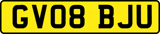 GV08BJU