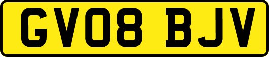 GV08BJV