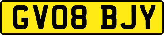 GV08BJY