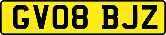 GV08BJZ