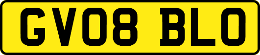GV08BLO