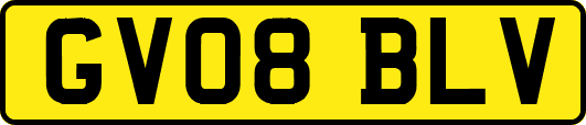 GV08BLV