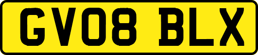 GV08BLX