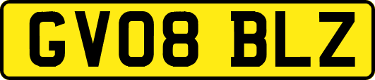 GV08BLZ