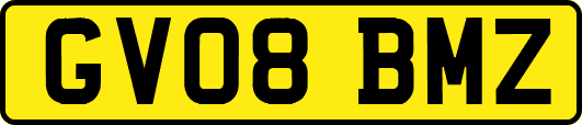 GV08BMZ