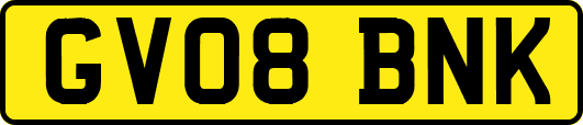 GV08BNK